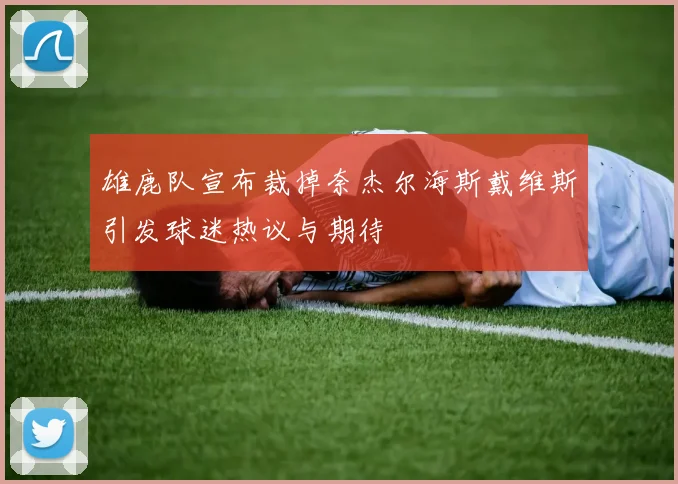 雄鹿队宣布裁掉奈杰尔海斯戴维斯引发球迷热议与期待