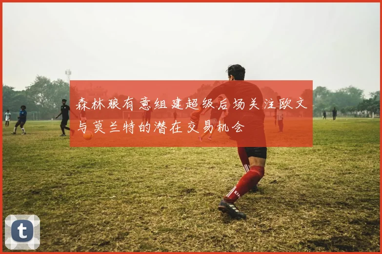 森林狼有意组建超级后场关注欧文与莫兰特的潜在交易机会