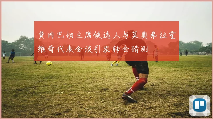 费内巴切主席候选人与莱奥弗拉霍维奇代表会谈引发转会猜测