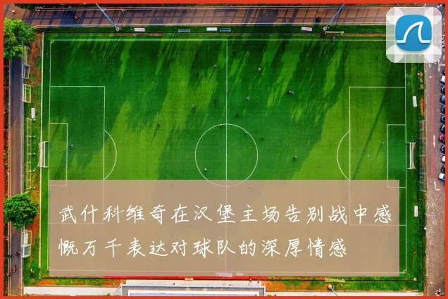 武什科维奇在汉堡主场告别战中感慨万千表达对球队的深厚情感